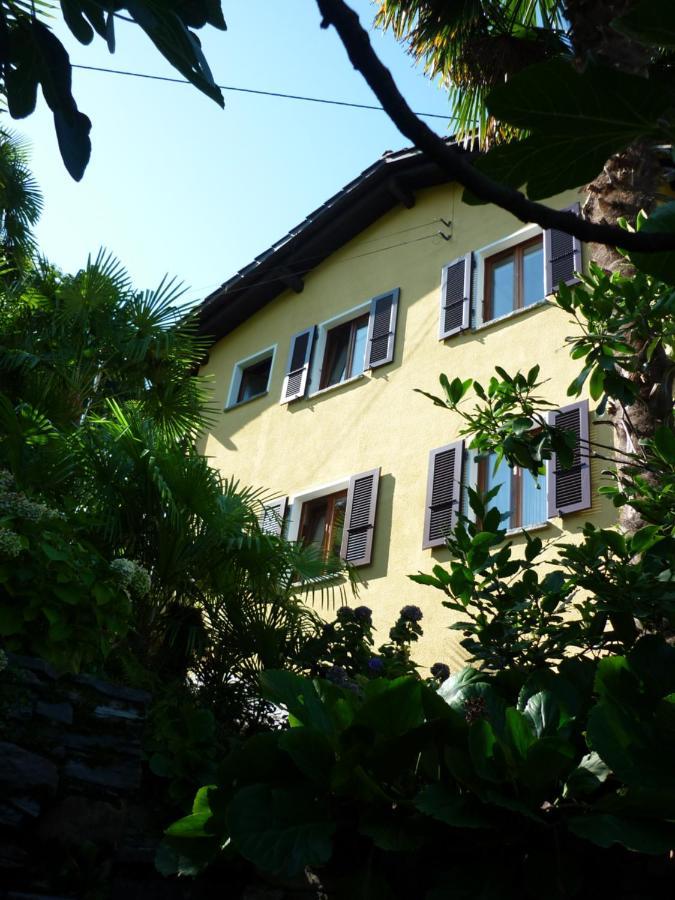 Ferienwohnung Casa Petra Gambarogno Exterior foto